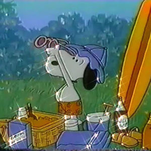 Meet your Posher, Zynsty